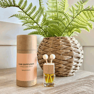 Car diffuser with citrus and spice scent, decorative reed sticks, on wooden surface with fern plant in the background.